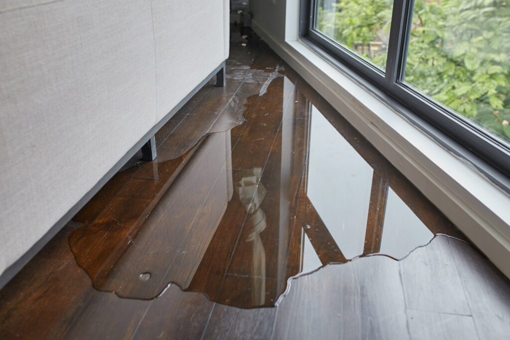 How to Deal with Flood Damage | Carpet Specialists