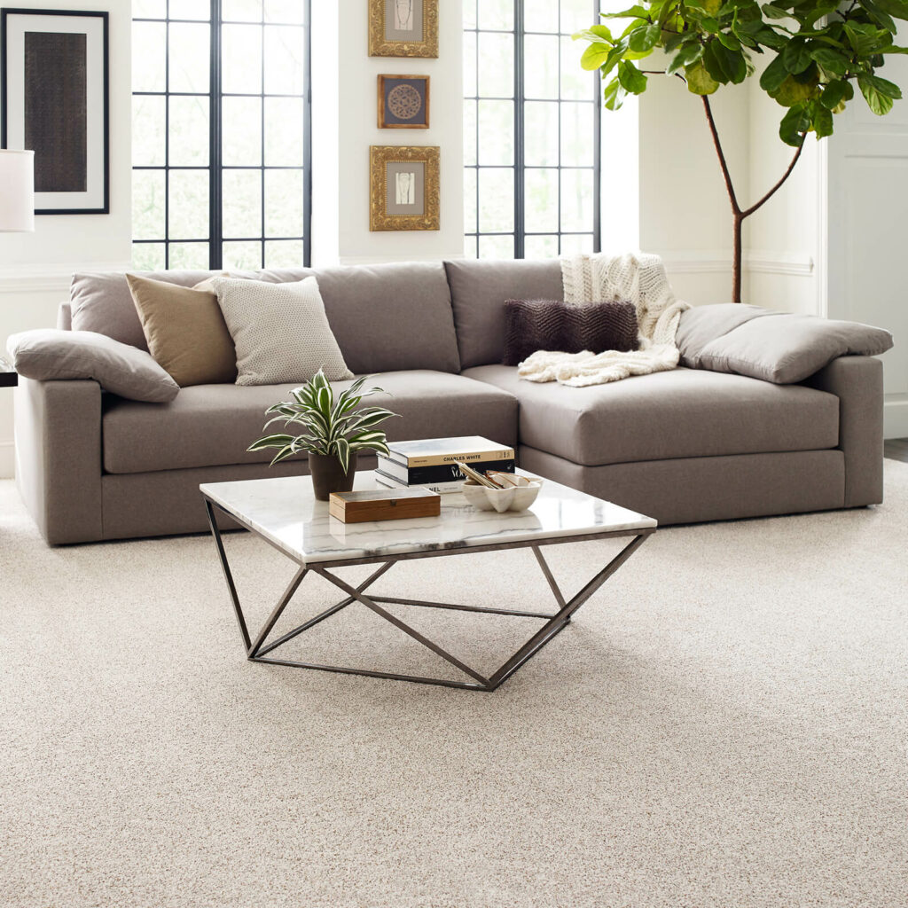 Living Room Carpet Flooring | Carpet Specialists