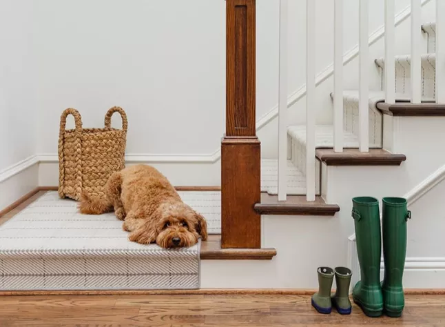 Tailored to fit Stair Runners | Carpet Specialists